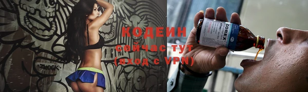 альфа пвп Медвежьегорск