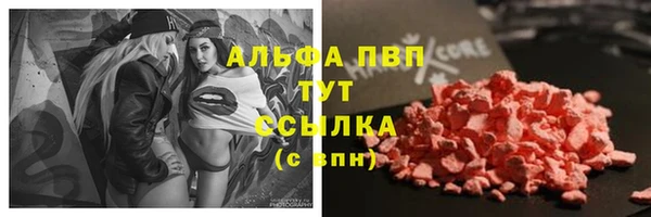 альфа пвп Медвежьегорск