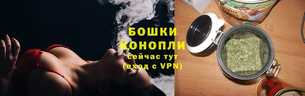 крисы Мегион