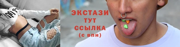 крисы Мегион