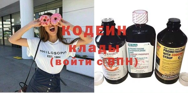 крисы Мегион