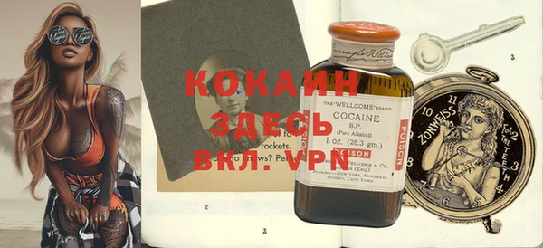 крисы Мегион