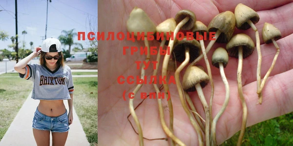 крисы Мегион