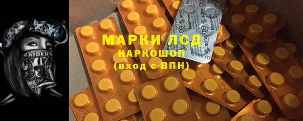 крисы Мегион