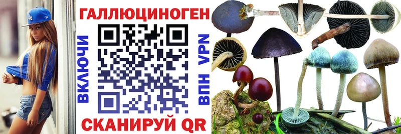 mega маркетплейс  Емва  Галлюциногенные грибы MAGIC MUSHROOMS  закладки 